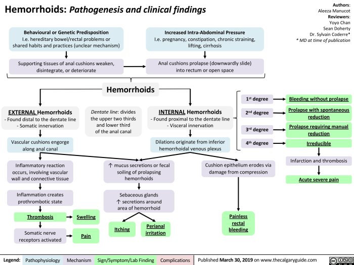 Hemorrhoids haemorrhoids treatment hemorrhoidectomy surgical hierarchy preferred figure summarised guidance according